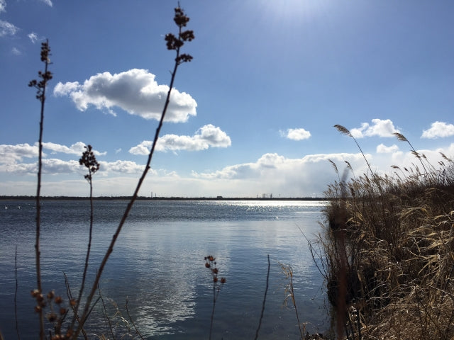ウトナイ湖