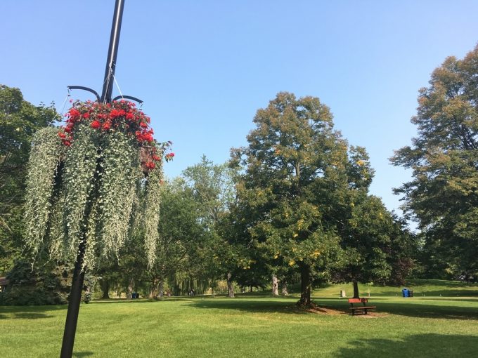 Toronto Island 