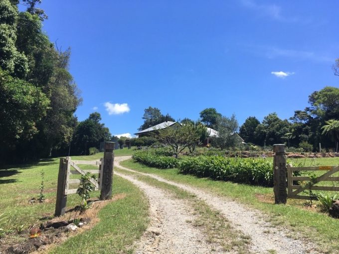 Springbrook National Park