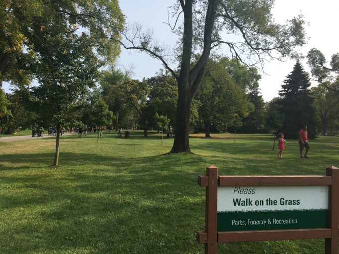 Toronto Island park