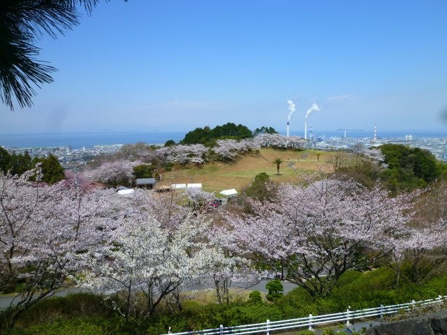 三島公園は、愛媛県の桜の名所