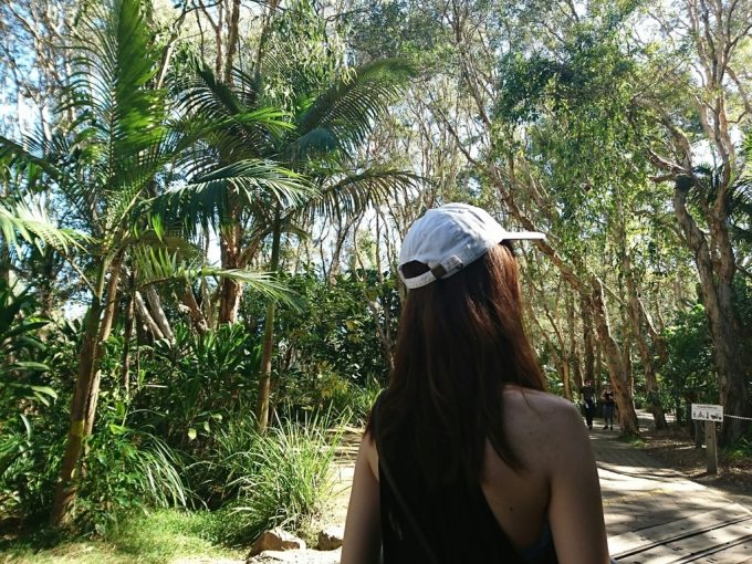Currumbin Wildlife Sanctuary