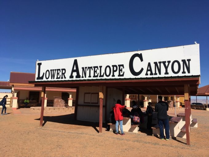 Antelope 　チケット