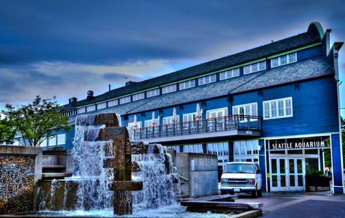 Seattle Aquarium シアトル水族館