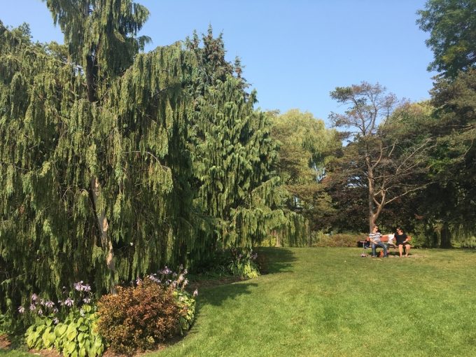 Toronto Island 