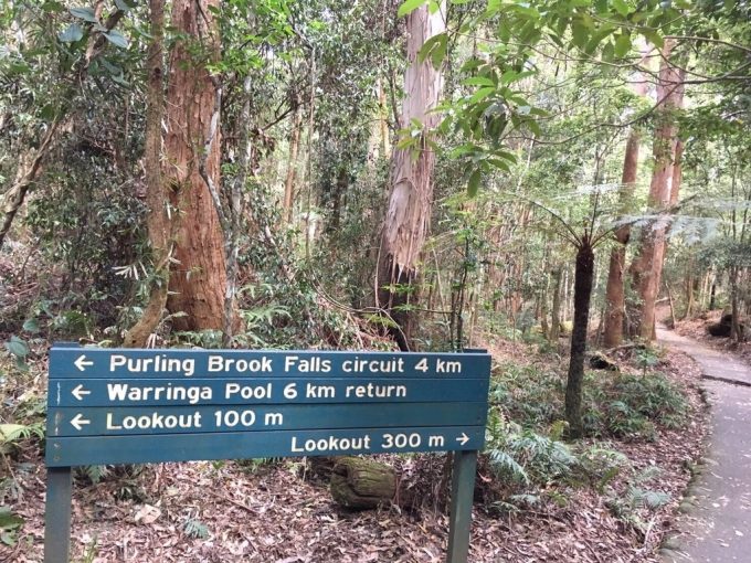 Purling Brook Falls signage