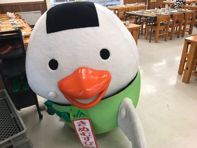 鳥取県 ゆるキャラ　きぬむすび