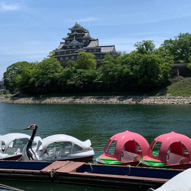碧水園 桃ボート