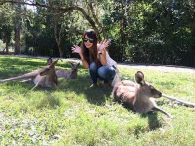 Currumbin Wildlife Sanctuaryカンガルー