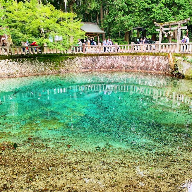 弁天池湧水