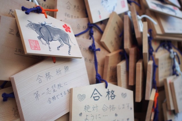 武蔵神社は勝負事や学業成就、恋愛成就にもご利益