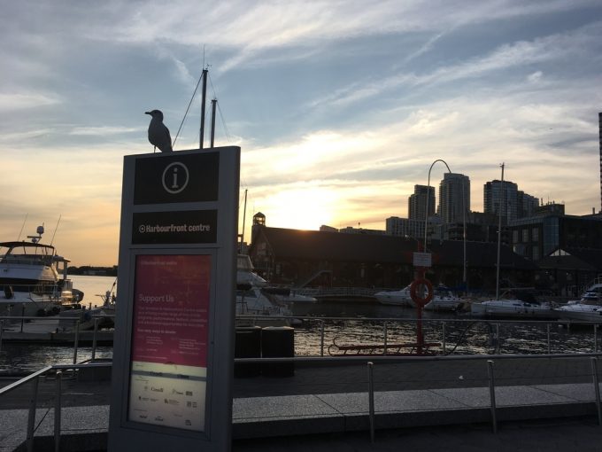 Harbourfront Centre 