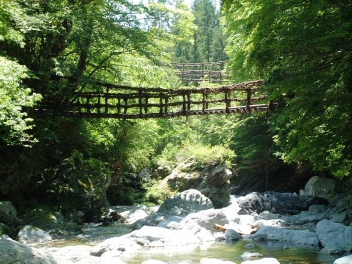 奥祖谷二重かずら橋