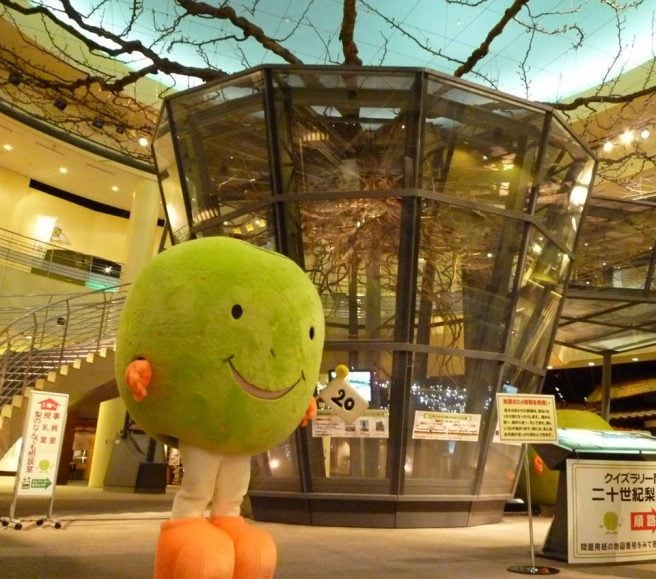 鳥取県 ゆるキャラ　鳥取県なっしー