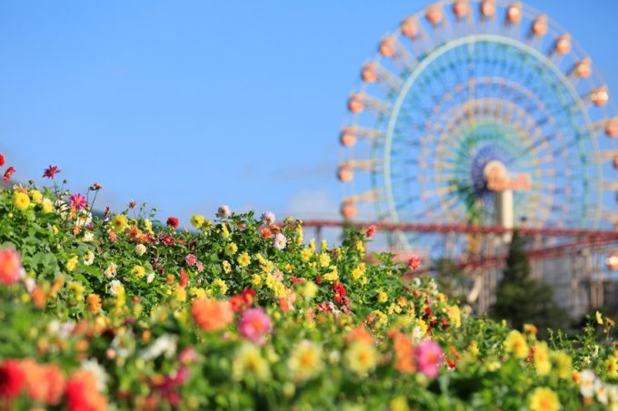 ドライブついでに立ち寄ってみよう！