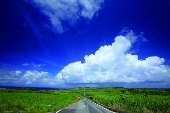 鹿児島県 インスタ映え 一本道