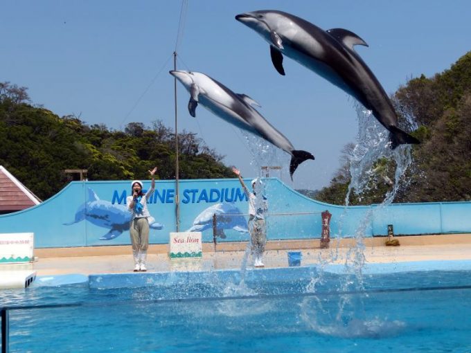 下田海中水族館
