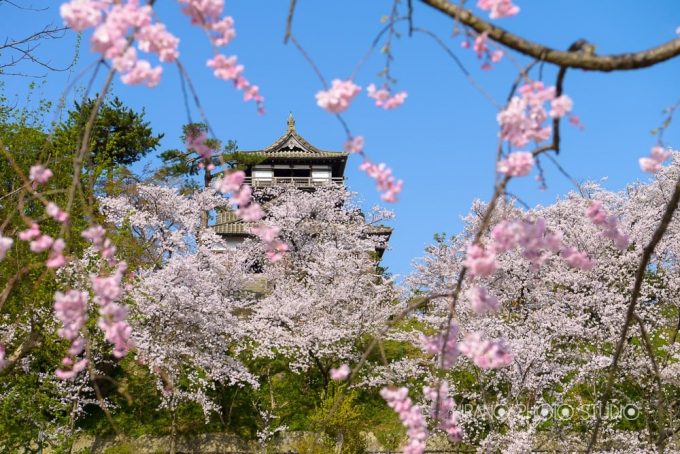 丸岡城