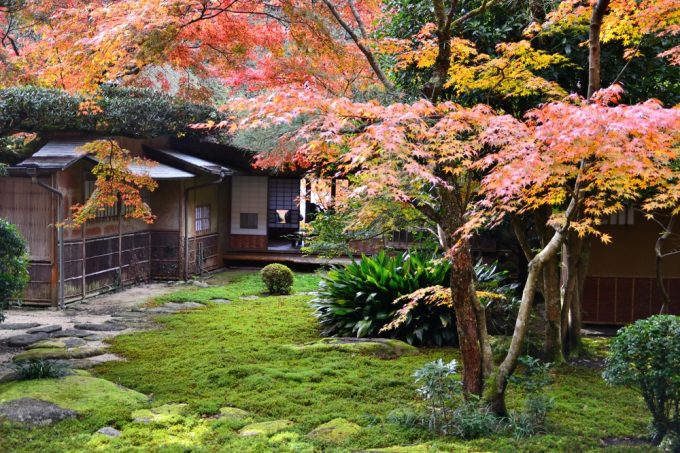 佐賀県 インスタ映え 九年庵