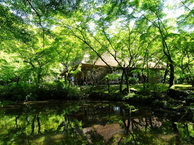 佐賀県 インスタ映え 九年庵2
