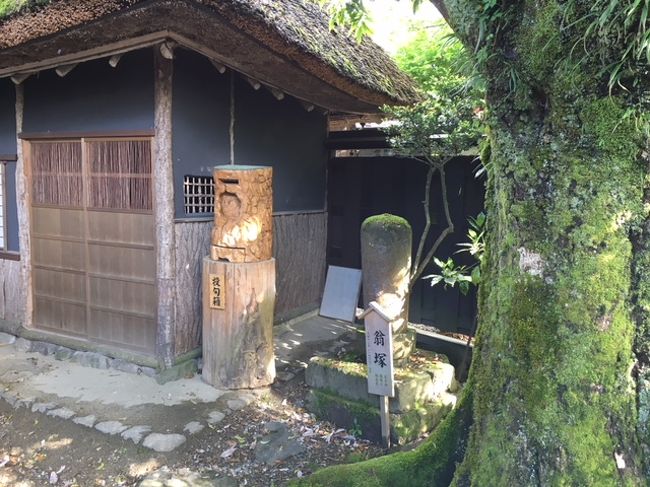 井波の町歩きのヒント