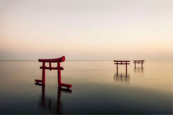 佐賀県 インスタ映え 大魚神社3