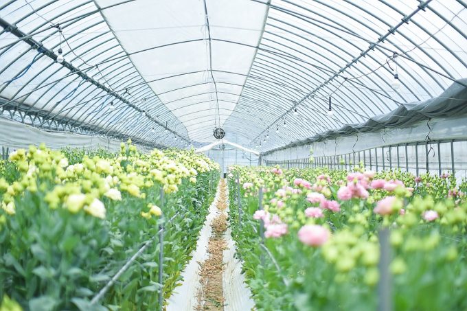 佐賀県 インスタ映え 小松花園
