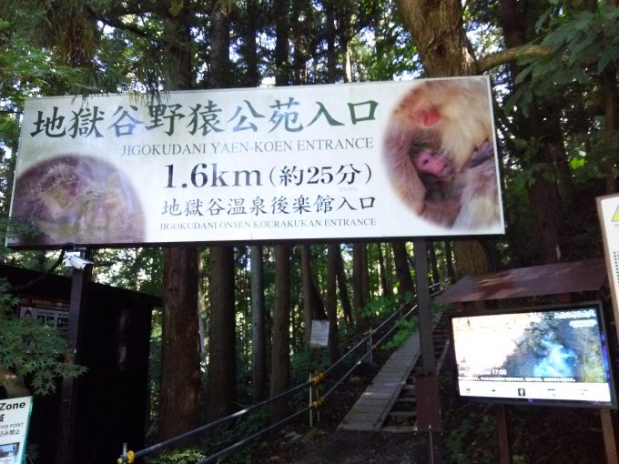 後楽館