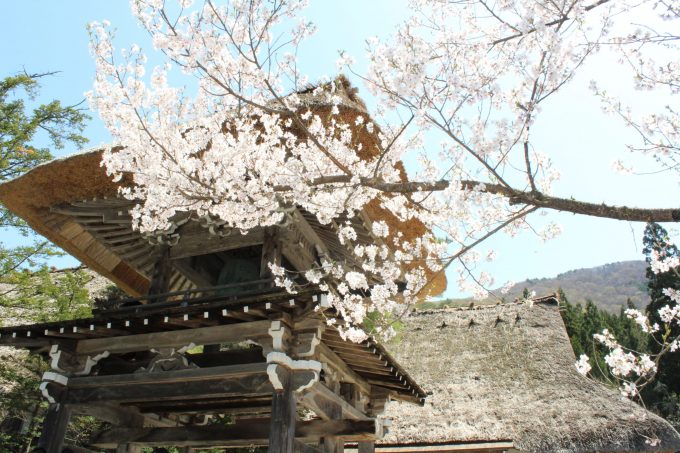 白川郷 明善寺