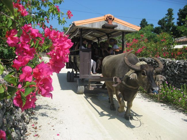 沖縄 インスタ映え 竹富島　赤瓦屋根の古民家が並ぶ集落