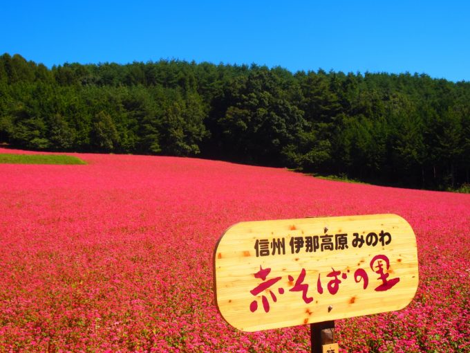 絶対行きたいイベント４選