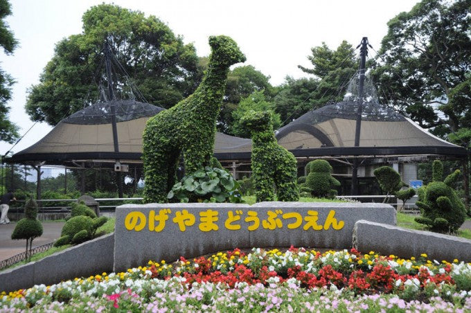 野毛山動物園