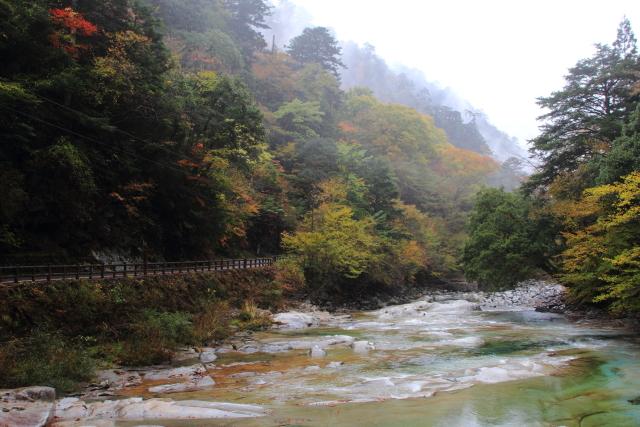 面河渓五色河原