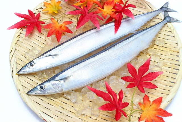 名古屋市内で秋の味覚を楽しむお勧めのグルメスポット