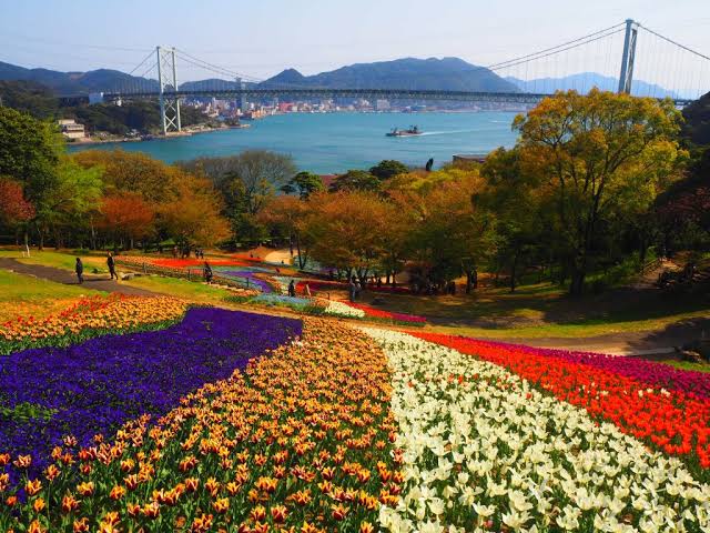 火の山公園