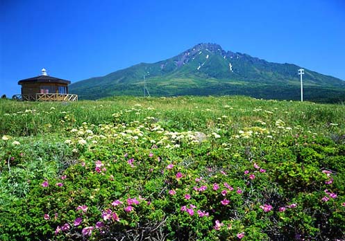 利尻島沓形岬公園