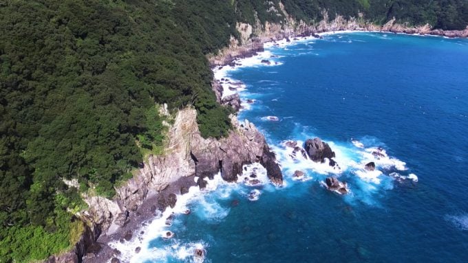 大月町柏島の見どころ！海の生き物とサンゴの楽園
