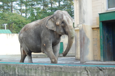十勝・帯広　観光名所　帯広動物園