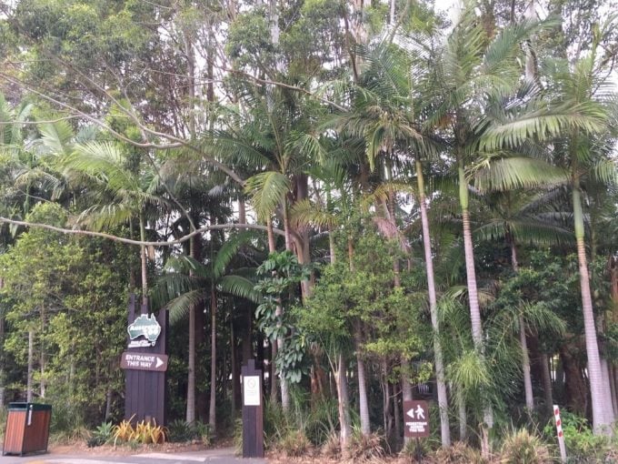 Australia ZOO gate