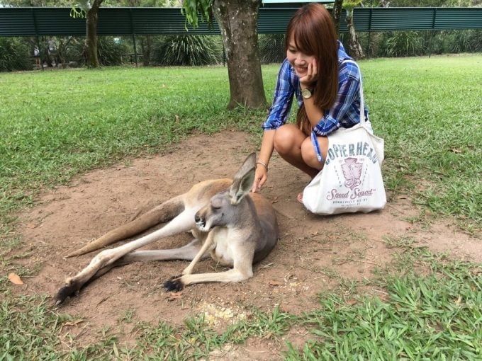 Australia ZOO　カンガルー