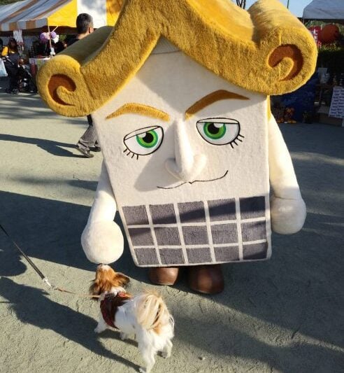 岡山県のゆるキャラまとめ
