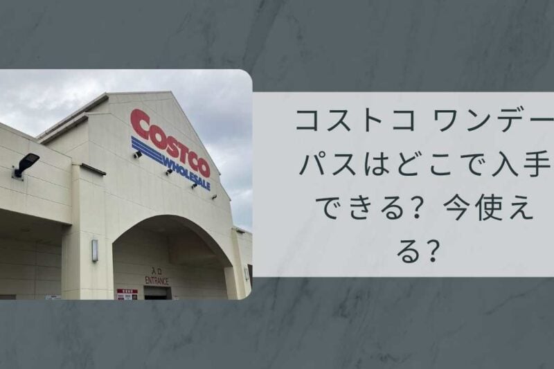 コストコ ワンデーパスはどこで入手できる？今使える？1日招待券の最新情報と非会員でも入れる方法まとめ【2026年最新】