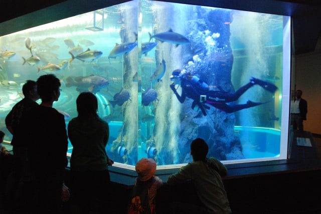 魚津水族館