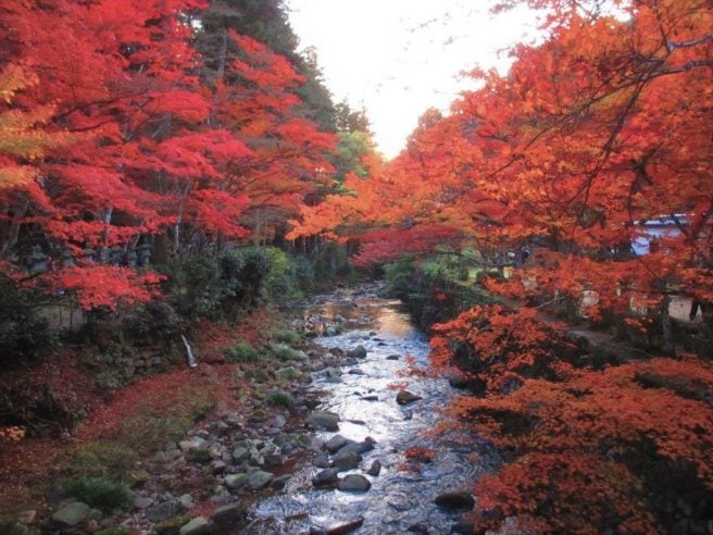 佛通寺