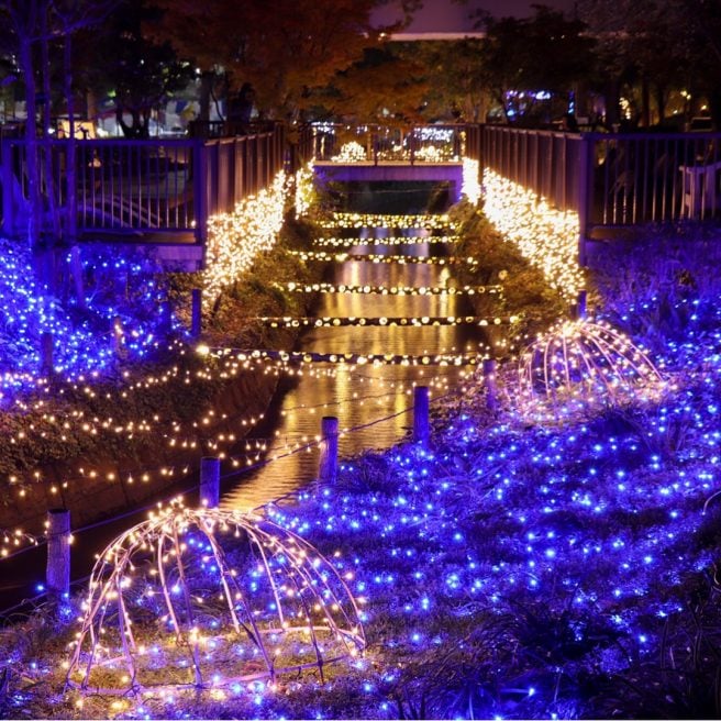 岡山県インスタ映えスポット 倉敷みらい公園イルミネーション