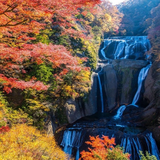 袋田の滝 紅葉