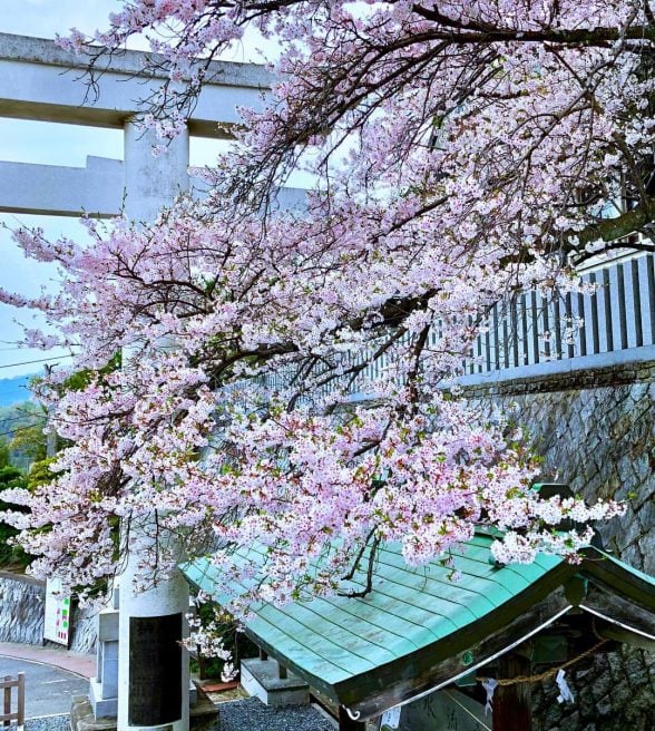 三輪明神広島分祠