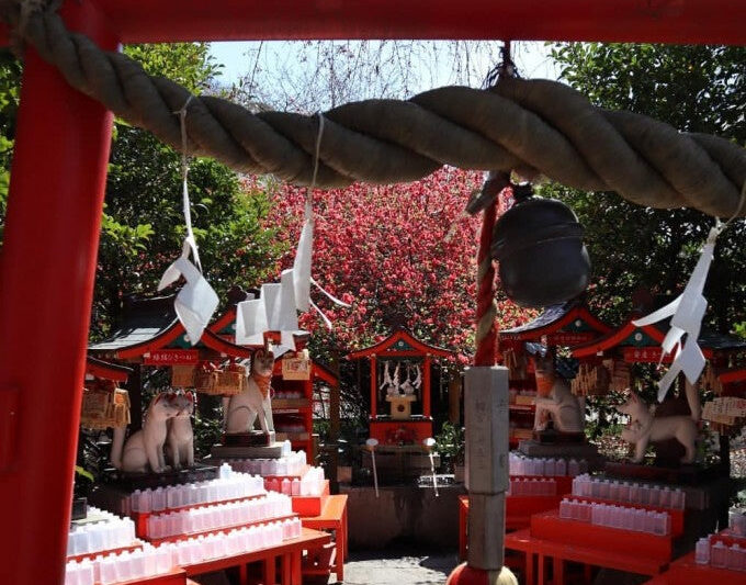 【群馬県】開運間違いなし！ パワースポットとして知られる神社10選