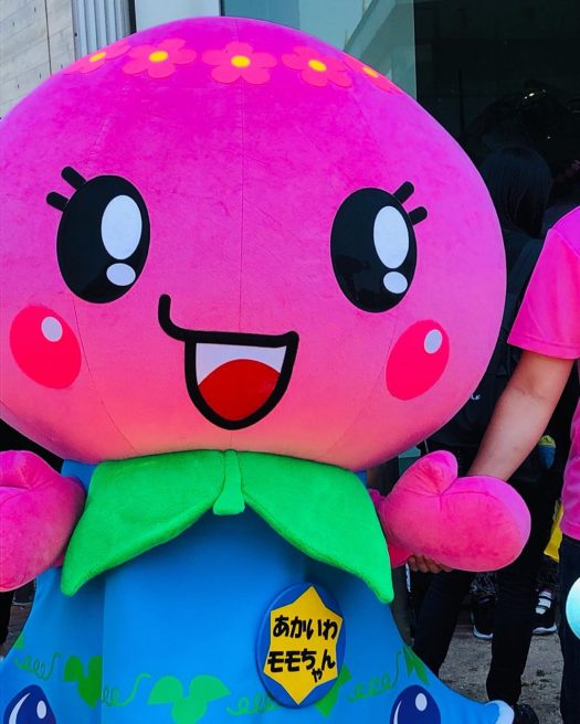 岡山県 ゆるキャラ あかいわモモちゃん