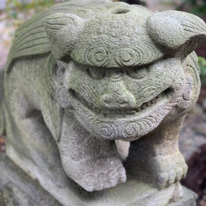 菊田神社 狛犬